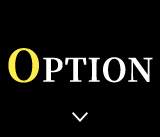 OPTION