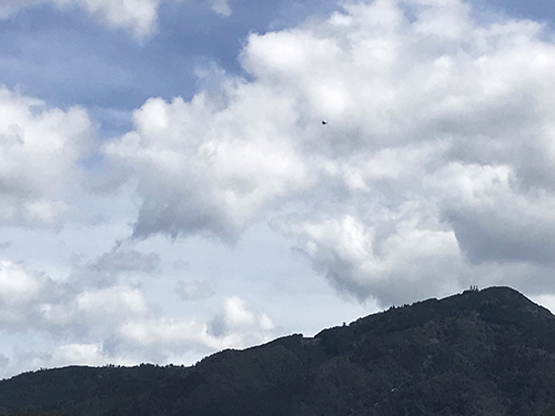 ロケ 映像収録